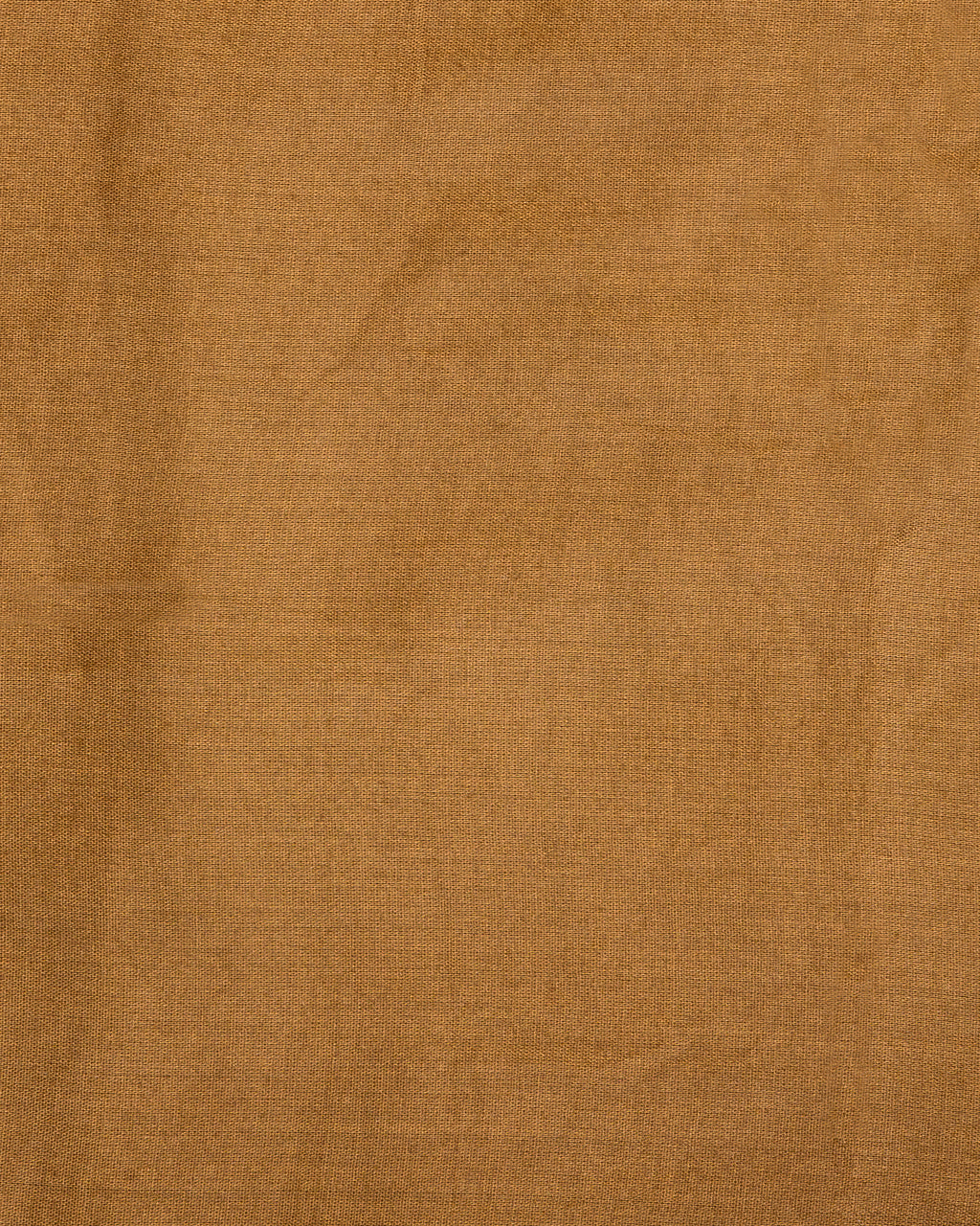Honey Beige Floral Elegance